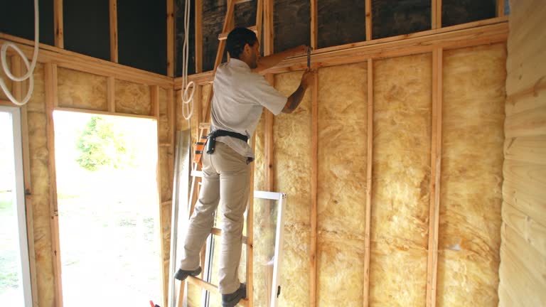 Best Wall Insulation Installation  in Stamford, TX